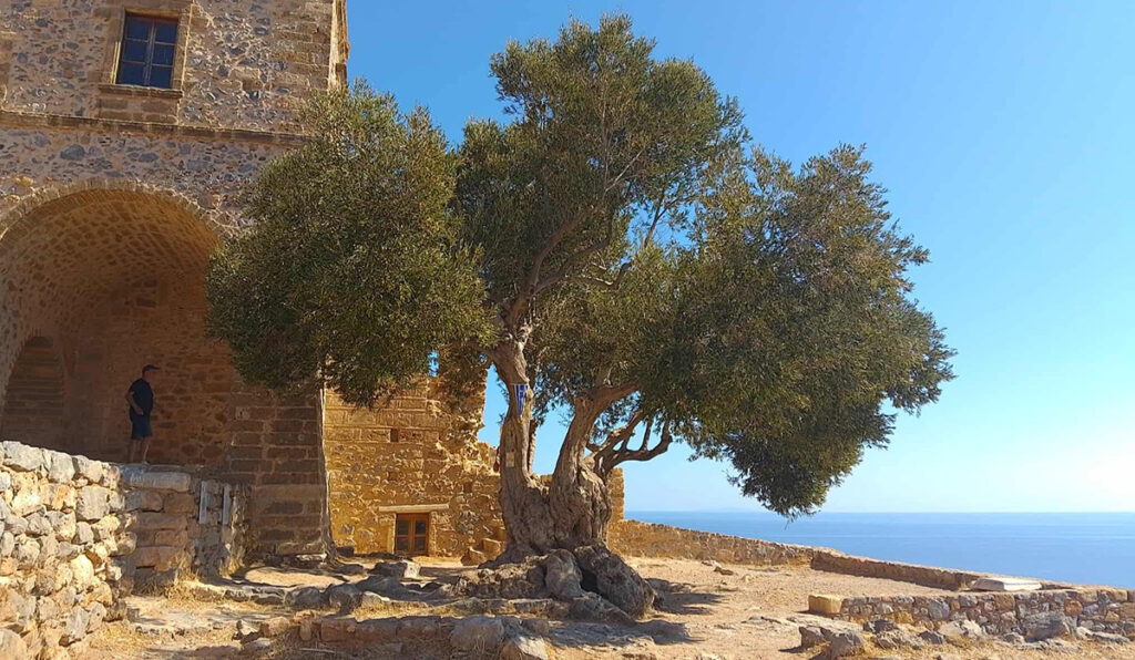στο Δίκτυο Αιωνόβιων Δέντρων Ελληνικής Επανάστασης