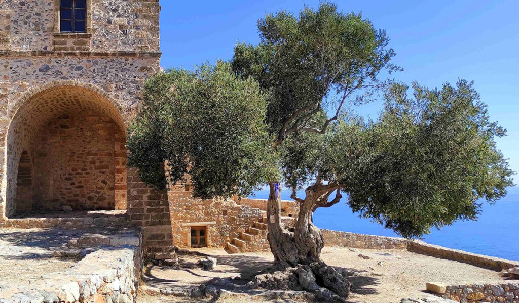 στο Δίκτυο Αιωνόβιων Δέντρων Ελληνικής Επανάστασης