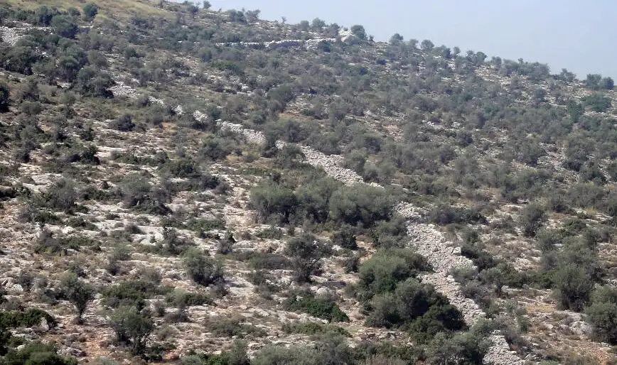 Το Ελληνικό Σινικό Τείχος που φρέναρε τους Σπαρτιάτες στην Αττική