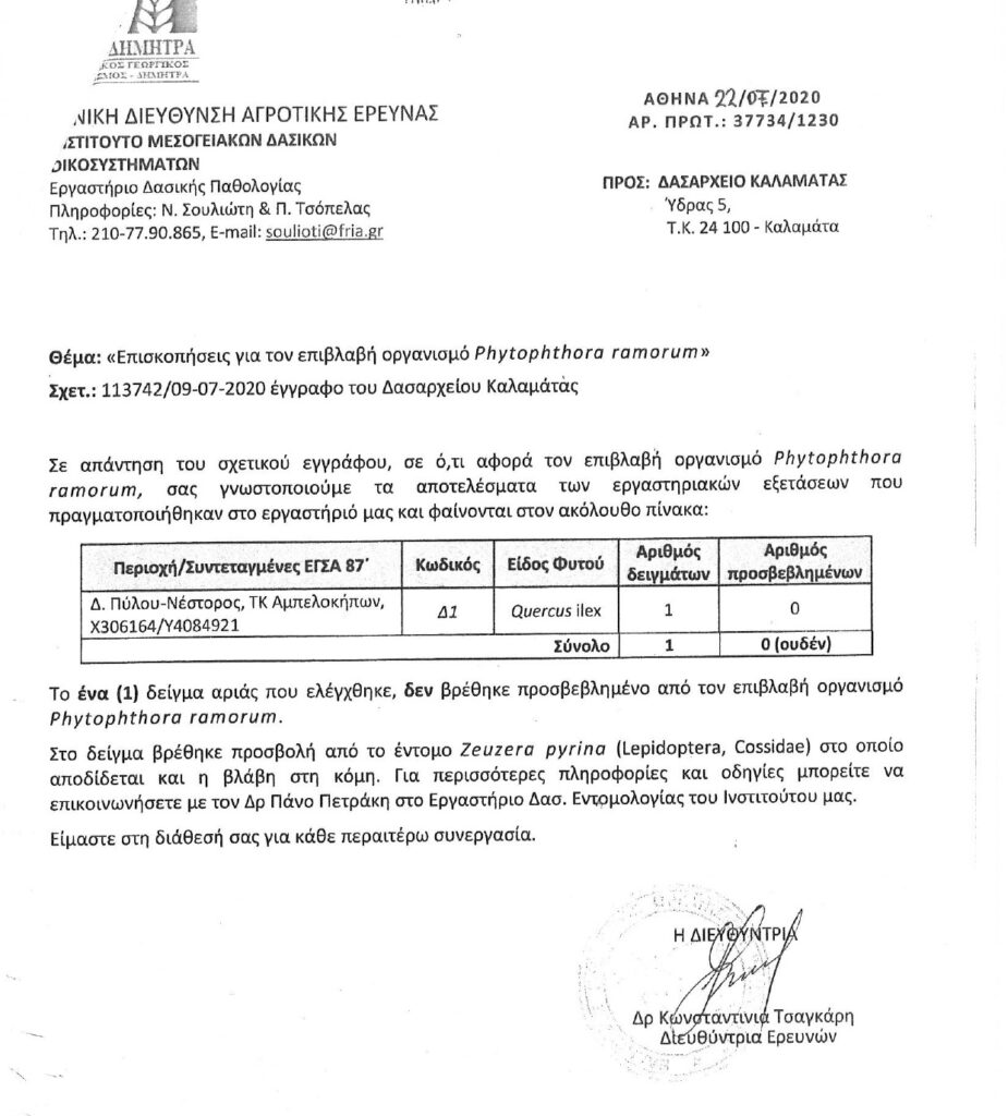 Πόρισμα δέντρου 2020