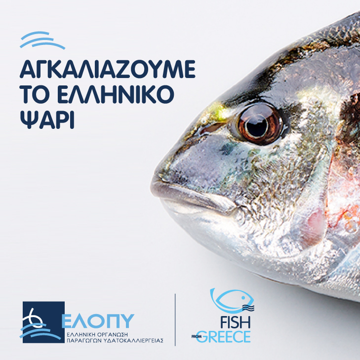 ΕΛΟΠΥ 350x350