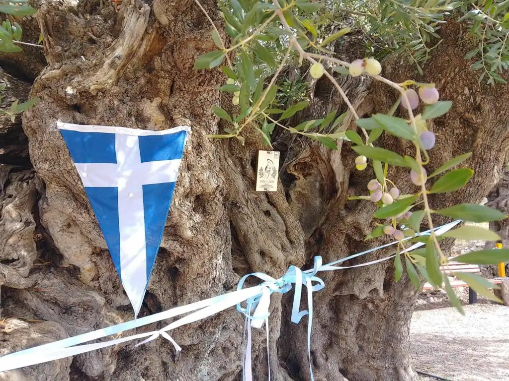 17.ΤΜΗΜΑ ΕΛΙΑΣ