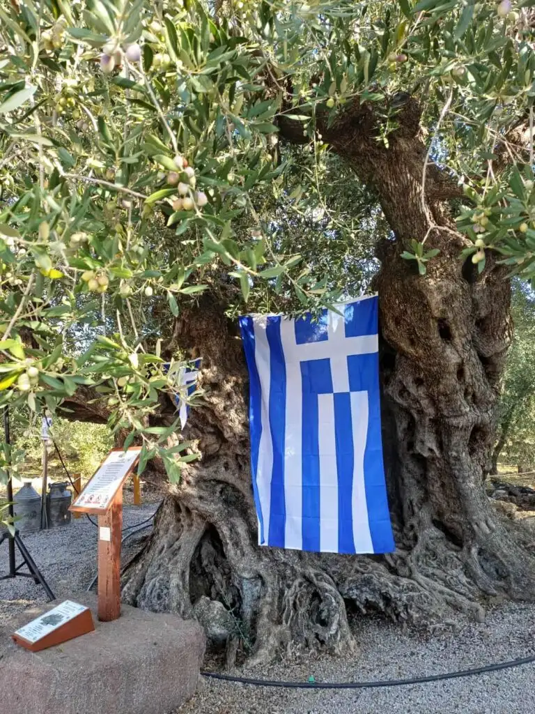 18. ΣΗΜΑΙΑ ΑΠΟΚΑΛΥΠΗΡΙΩΝ