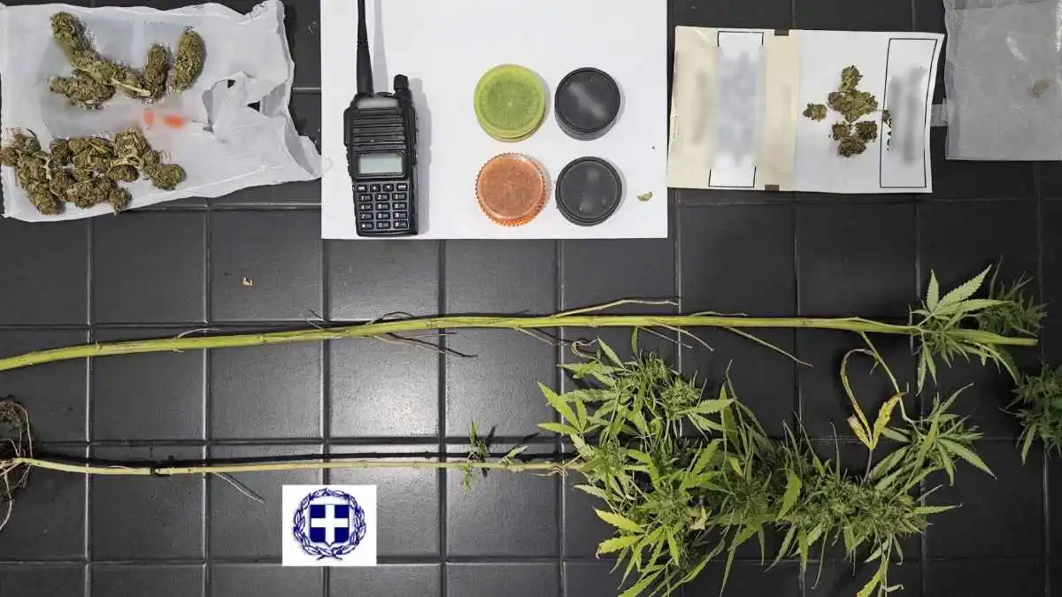 Κορινθία: Χειροπέδες σε δύο άτομα για φυτά κάνναβης και παράνομο ασύρματο
