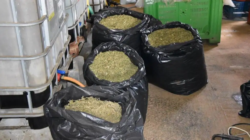 28.10.2025 messinia narkwtika syllipsi (2) (1)