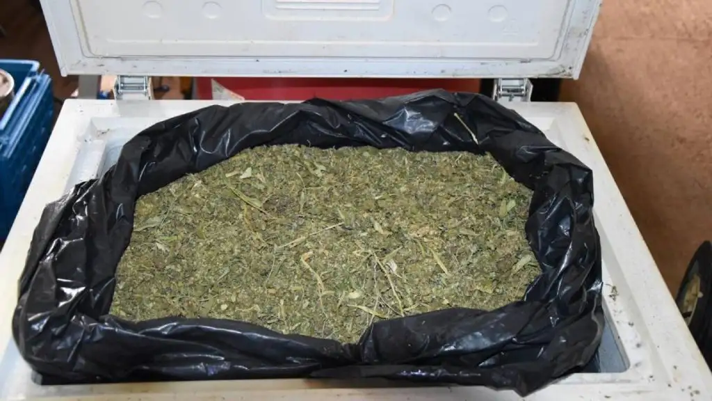 28.10.2025 messinia narkwtika syllipsi (4) (1)