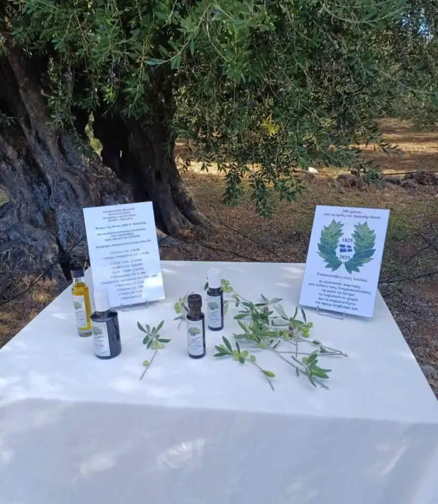 6. ΕΠΕΤΕΙΑΚΗ ΣΥΣΚΕΥΑΣΙΑ ΕΛΑΙΟΛΑΔΟΥ ΕΛΙΑΣ