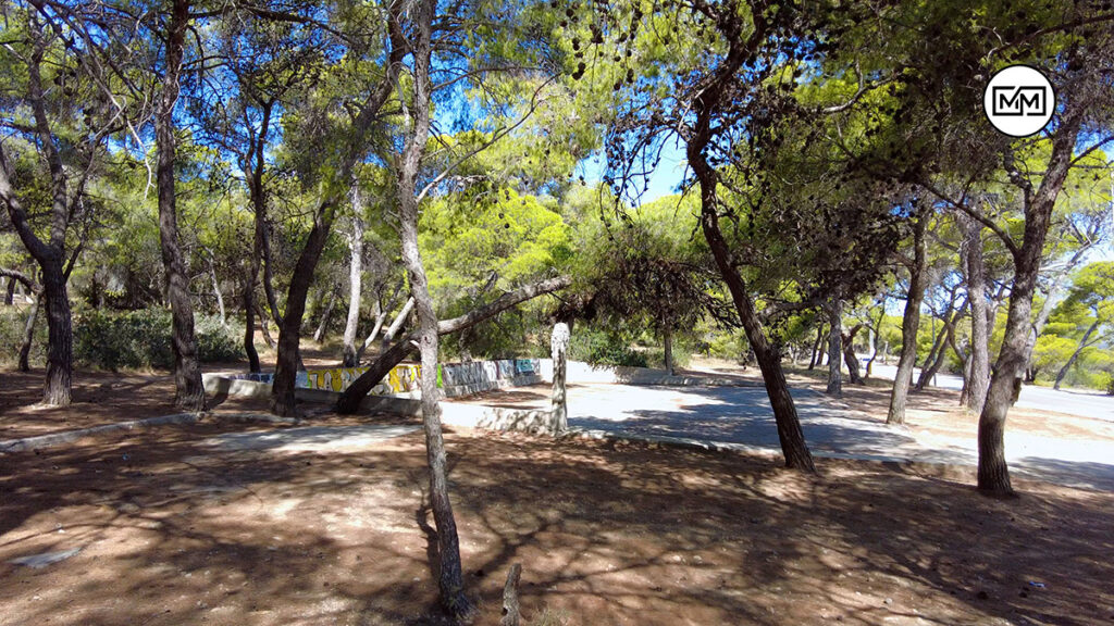 Δάσος Φανερωμένης στη Σαλαμίνα