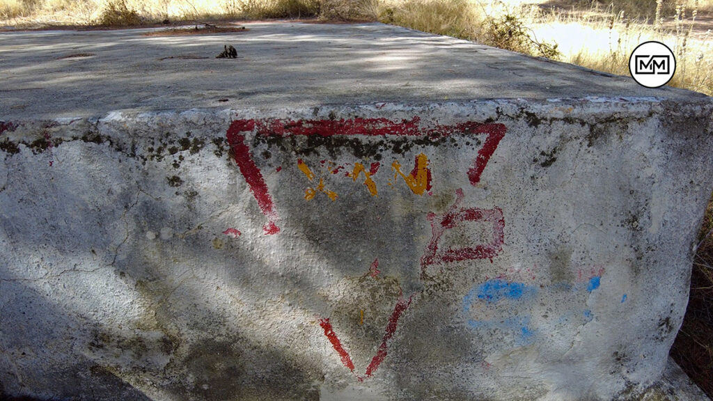 Δάσος Φανερωμένης στη Σαλαμίνα
