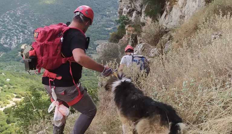 Σωτήρια επέμβαση για εγκλωβισμένο σκύλο στο Νεοχώρι Αργολίδας