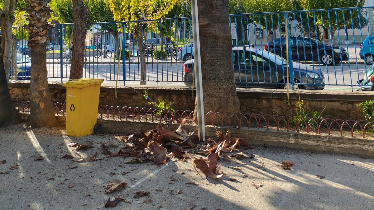 Κλαδιά έπεσαν στην αυλή του 1ου Δημοτικού Ναυπλίου – Από θαύμα δεν τραυματίστηκαν παιδιά