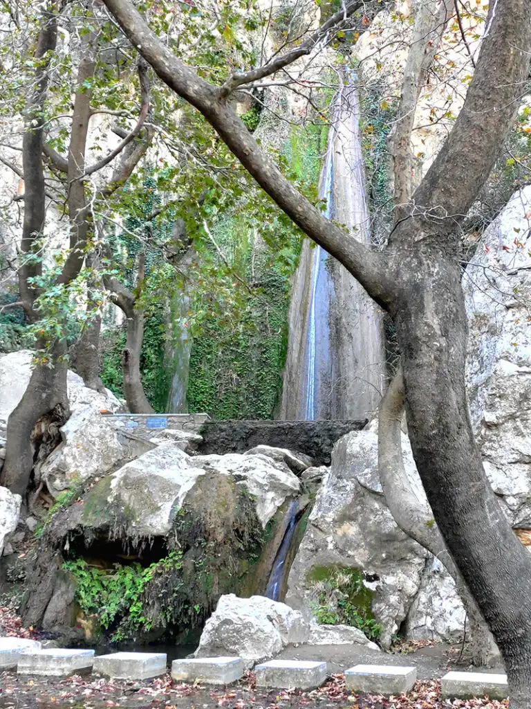 katarraktes petras