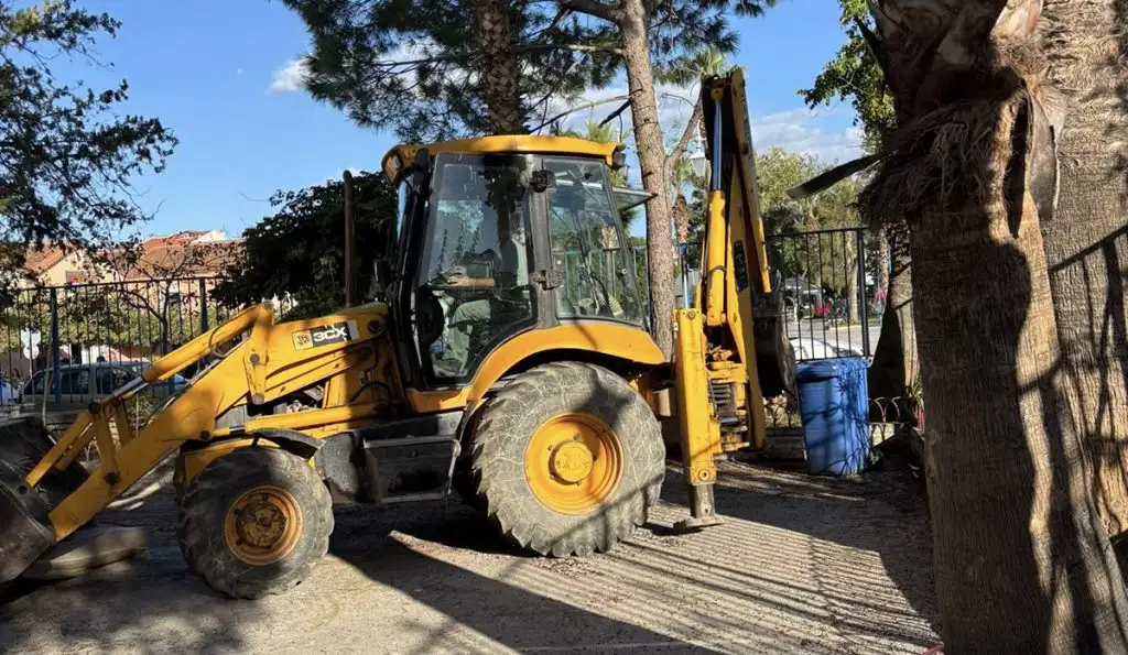 Εργασίες στο 1ο Δημοτικό Σχολείο Ναυπλίου φοίνικες