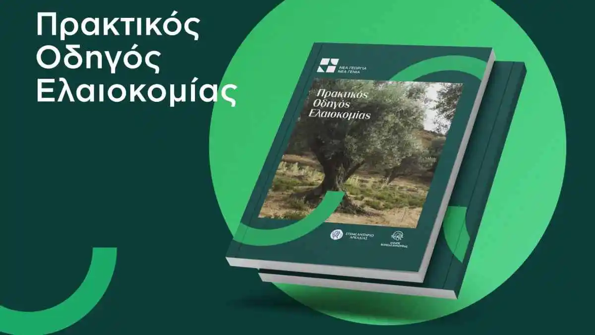 Ένας Πρακτικός Οδηγός Ελαιοκομίας από το Επιμελητήριο Αρκαδίας και τον Δήμο Βόρειας Κυνουρίας