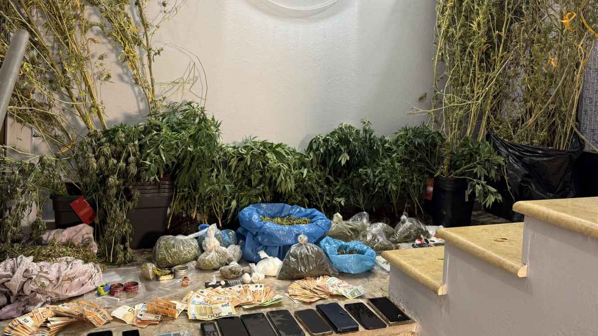 Εξαρθρώθηκε σπείρα που διακινούσε ναρκωτικά σε Τροιζηνία και Πόρο – 7 συλλήψεις