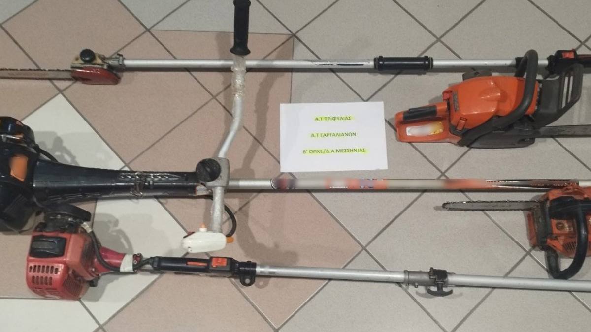 Φιλιατρά: Έκλεψαν δίχτυα ελαιοσυλλογής και τους πέρασαν χειροπέδες