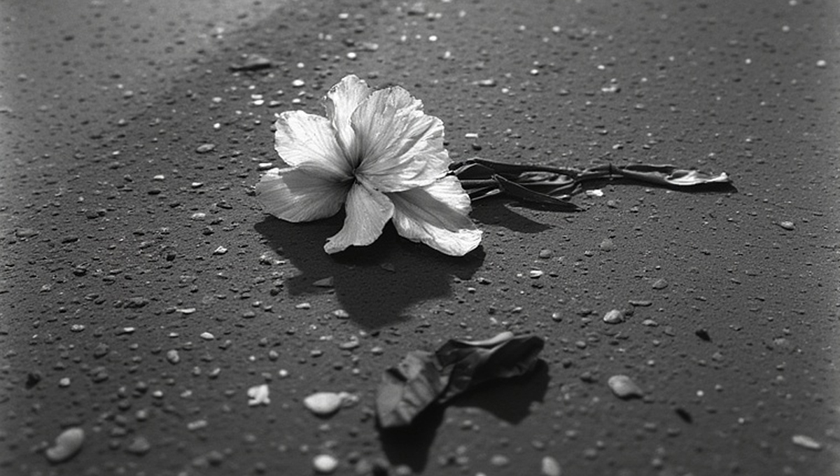 Ο Ναυπλιώτης Αδριανός Νόνης διασκευάζει το «Σαν της Γαρδένιας τον ανθό»