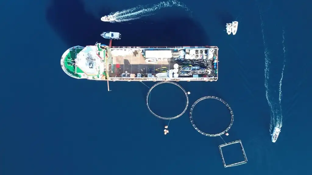 Μεγάλη επιχείρηση απομάκρυνσης εγκαταλελειμμένης ιχθυοκαλλιέργειας στα Μέθανα