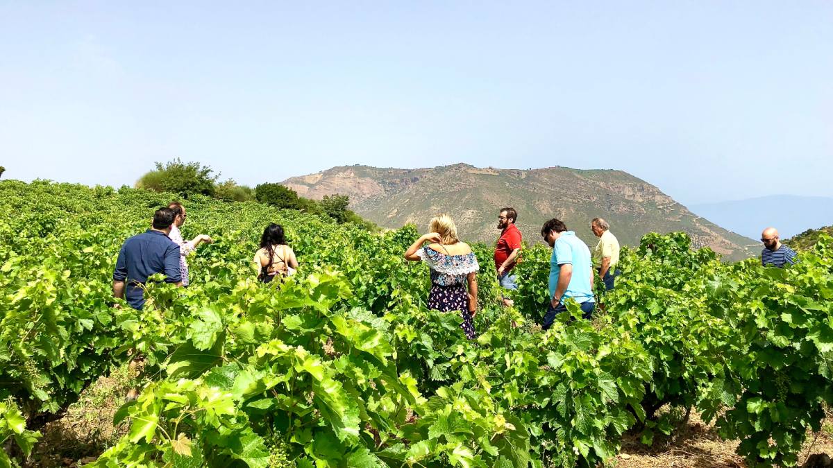 Η Πελοπόννησος γιορτάζει το κρασί – Παγκόσμια Ημέρα Οινοτουρισμού με ανοιχτά οινοποιεία