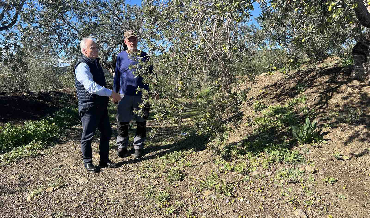 Ερμιονίδα: Έρχεται κλιμάκιο του ΕΛΓΑ για την καταγραφή ζημιών