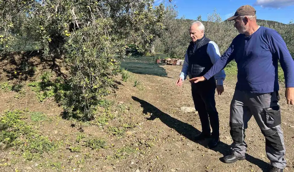 Αυτοψία Γιάννη Ανδριανού