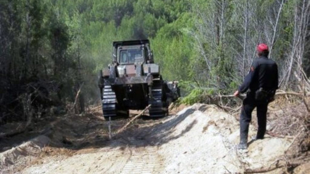 Θωρακίζεται η Γορτυνία: Έργα αντιπυρικών ζωνών σε Δημητσάνα, Τρόπαια, Λαγκάδια