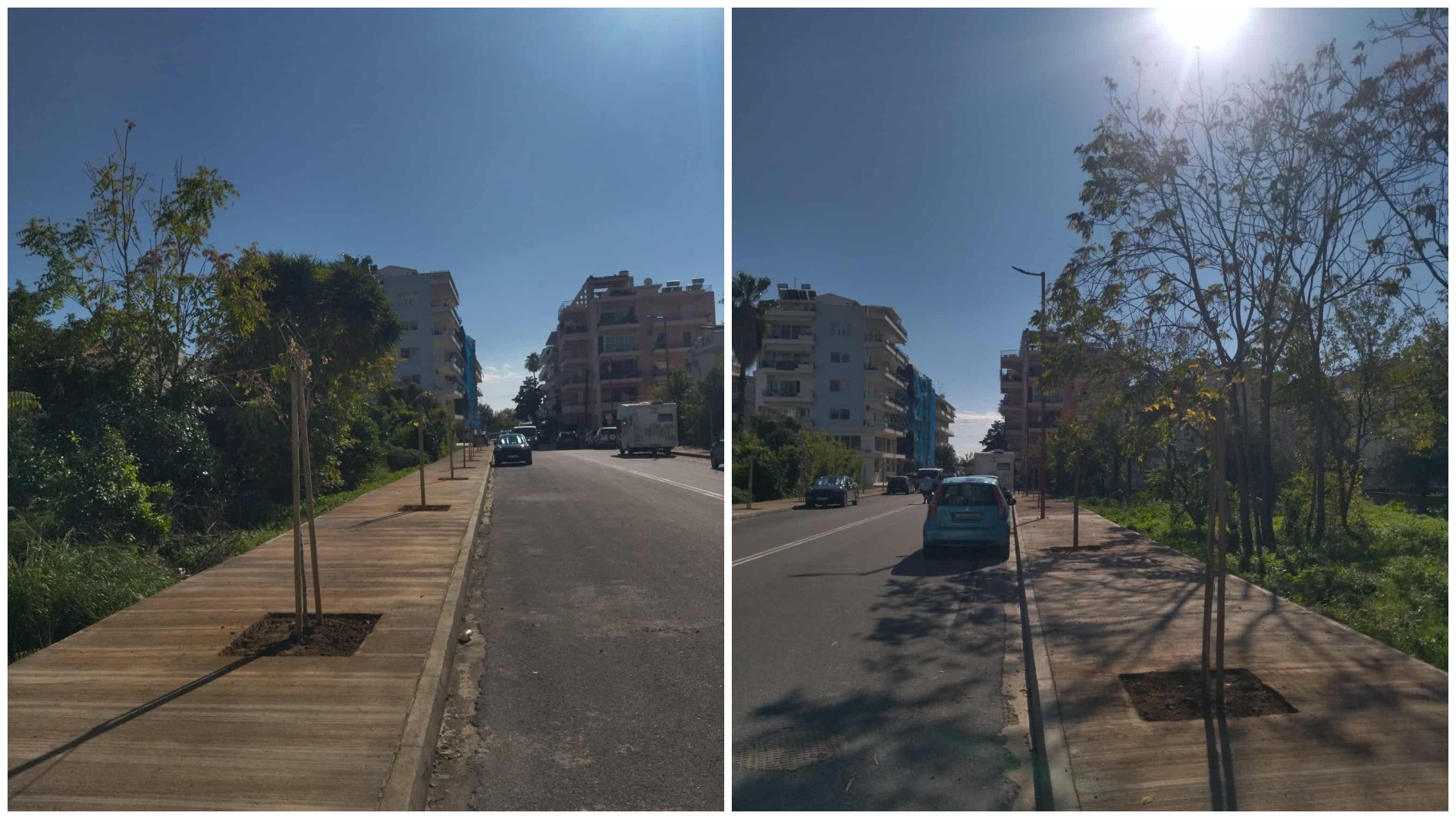 Φυτεύουν κάθε είδους δέντρο στην Καλαμάτα