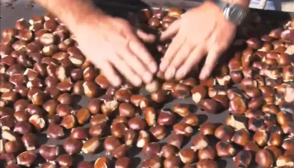 4η Γιορτή Κάστανου στον Κοσμά Αρκαδίας