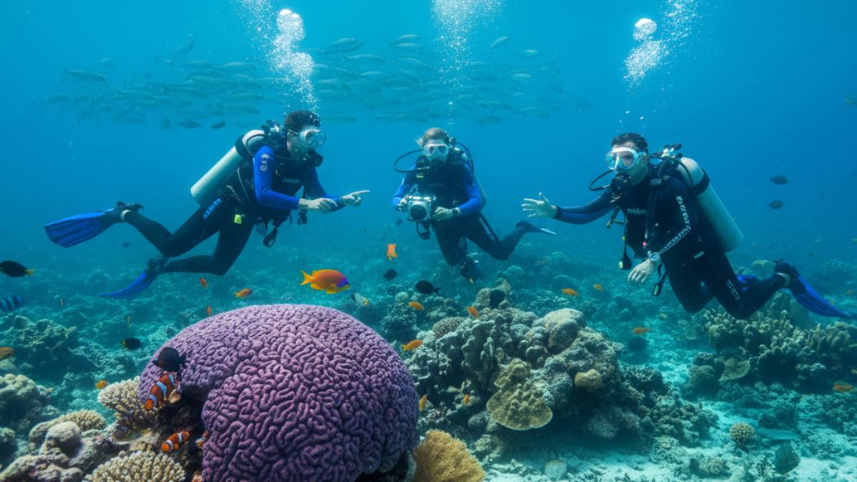 Ναύπλιο: Πού θα γίνει το νέο καταδυτικό πάρκο;