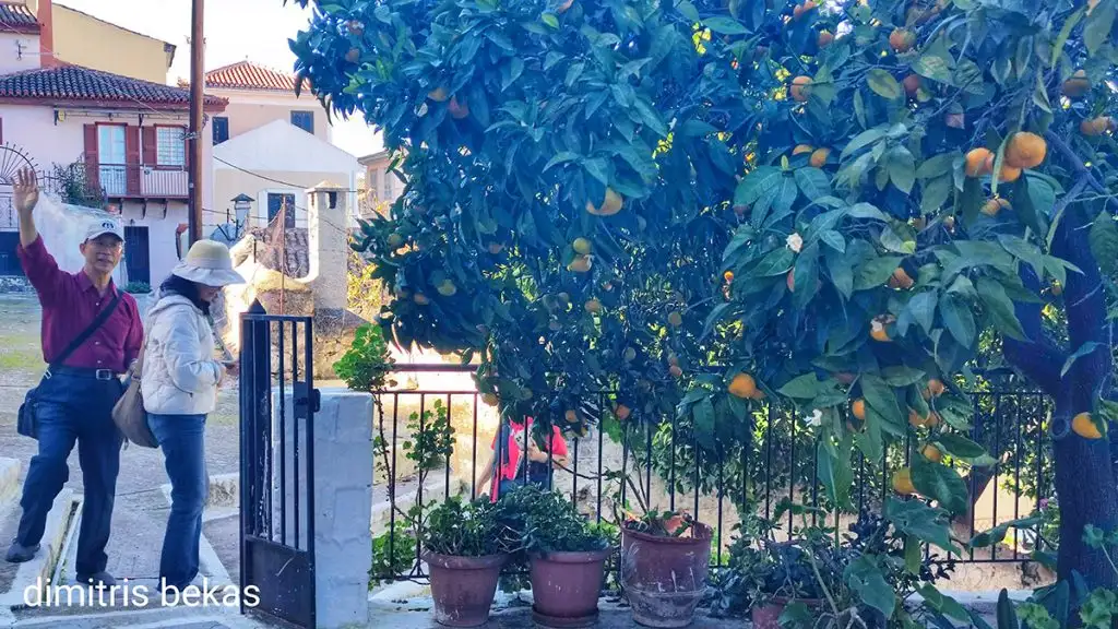 Κινέζικη εισβολή στά βραχατεϊκα Αναπλιού