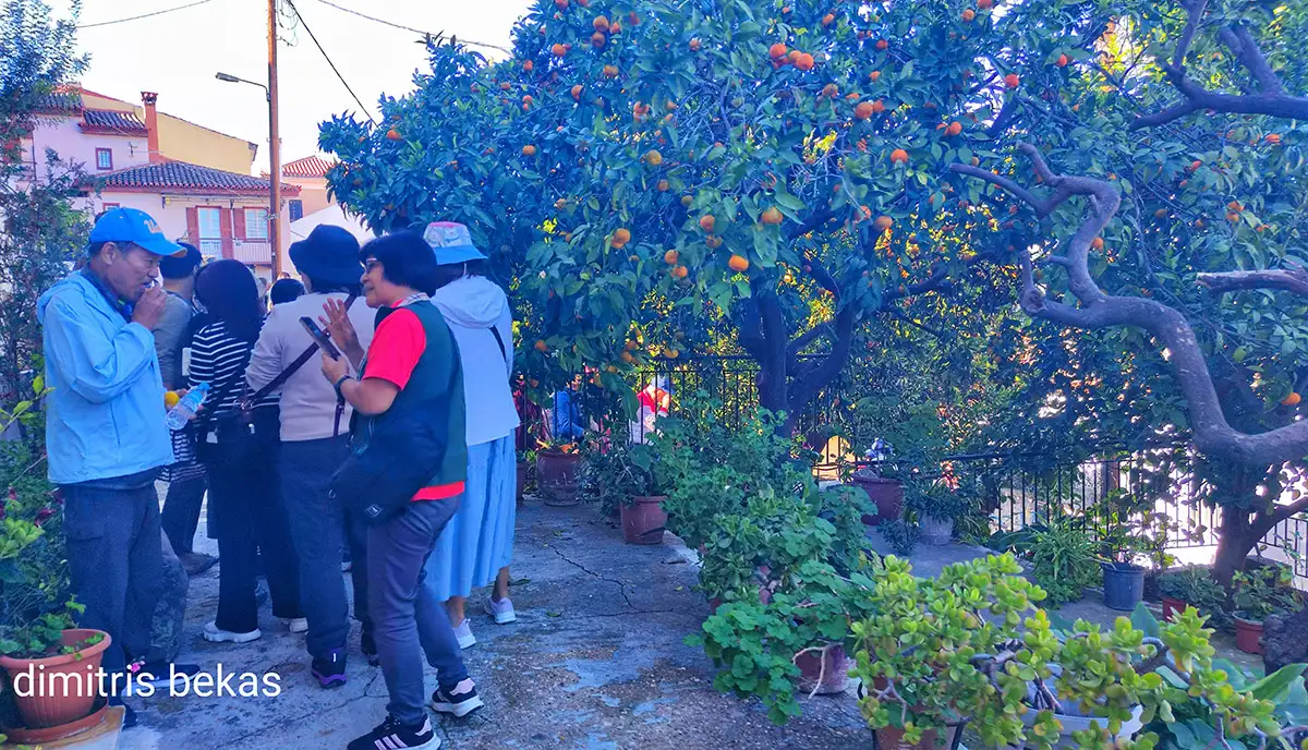 Κινεζική εισβολή στο Ναύπλιο – Μια πολιτιστική «γέφυρα» στα Βραχατέικα