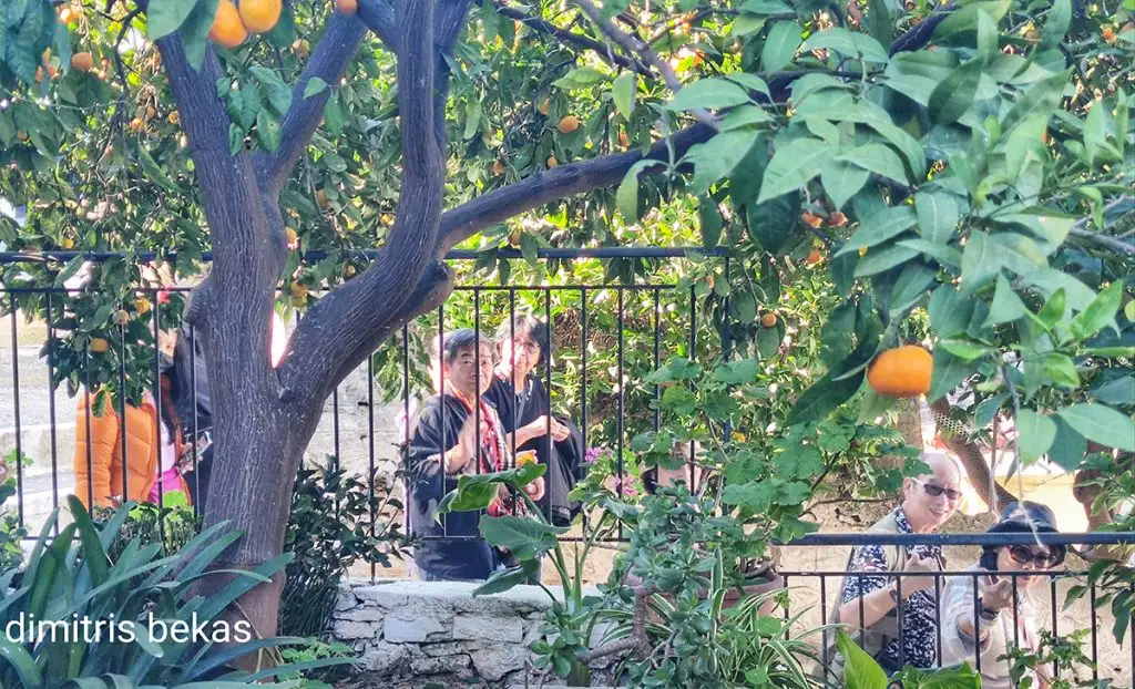 Κινέζικη εισβολή στά βραχατεϊκα Αναπλιού