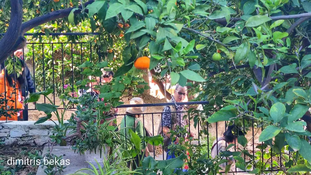 Κινέζικη εισβολή στά βραχατεϊκα Αναπλιού