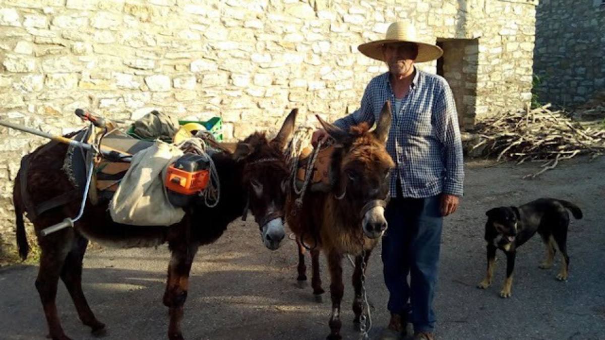 Η ανθρώπινη παρουσία που κρατά ζωντανά τα Κοντοβούνια