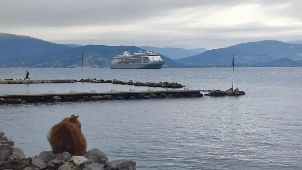 Κρουαζιερόπλοια στο Ναύπλιο 1-11-2025