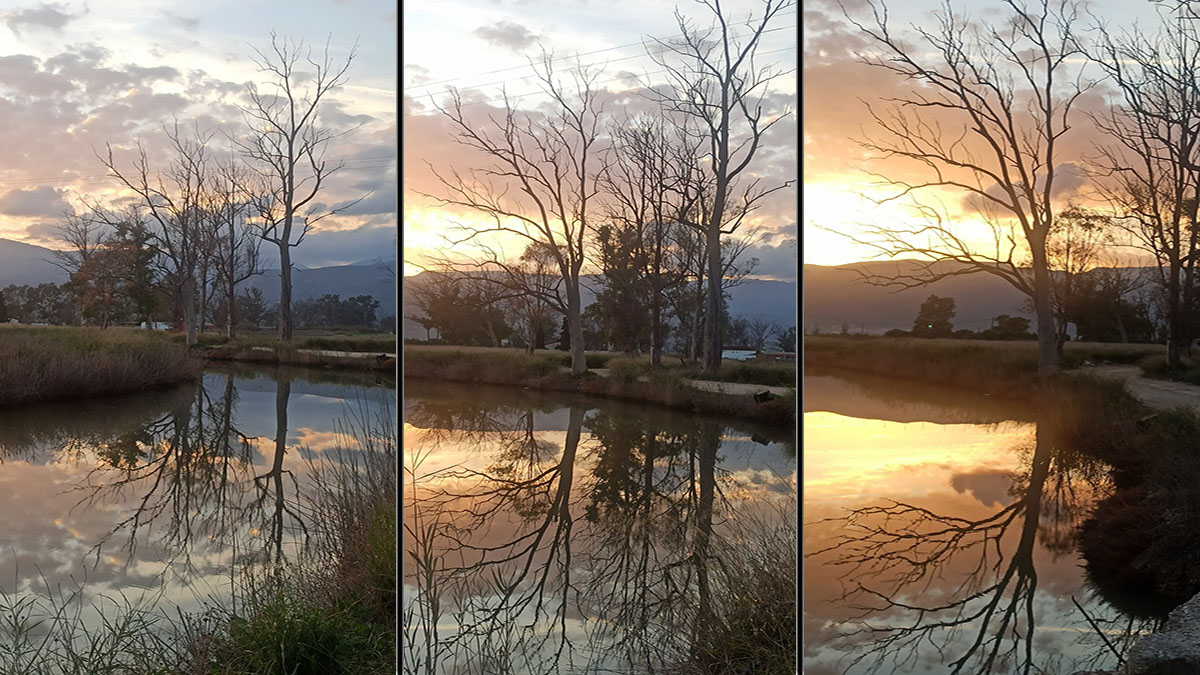 Ξεραίνονται οι ευκάλυπτοι του Ερασίνου: Η μαγεία που σβήνει και η σιωπηλή περιβαλλοντική καταστροφή στο Άργος
