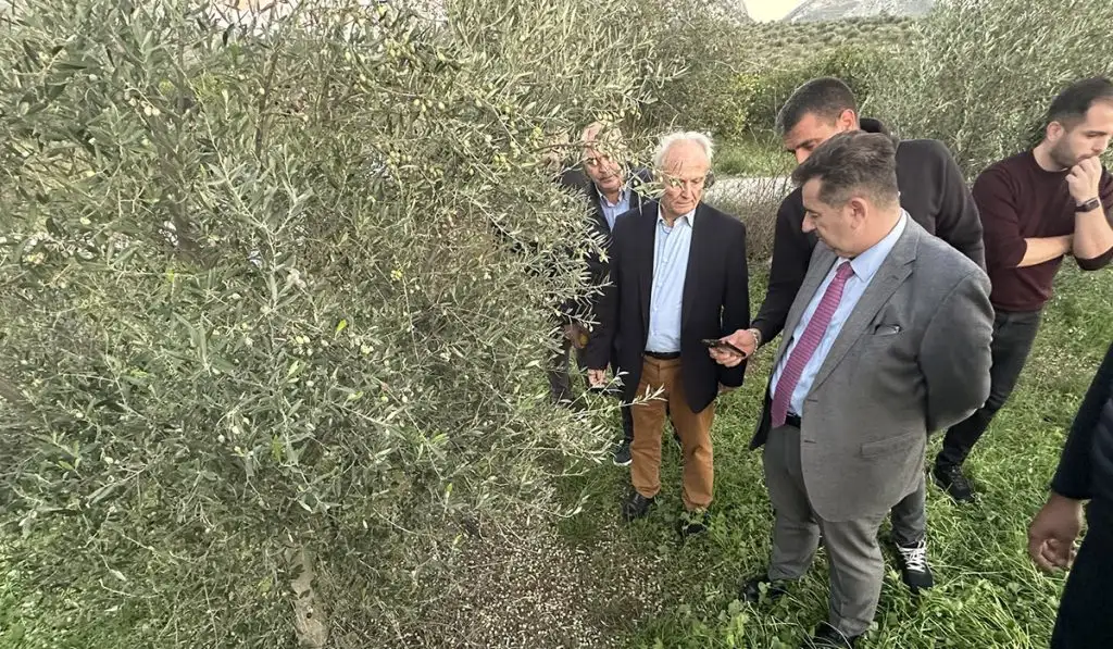 maltezos autopsia (1)