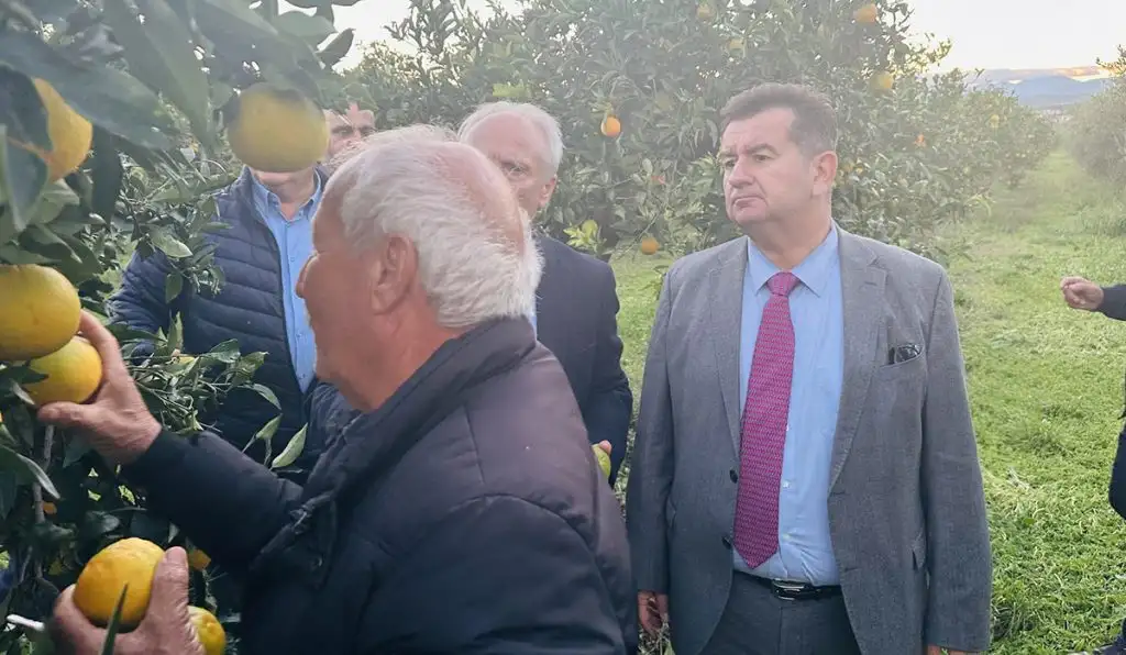 maltezos autopsia (2)