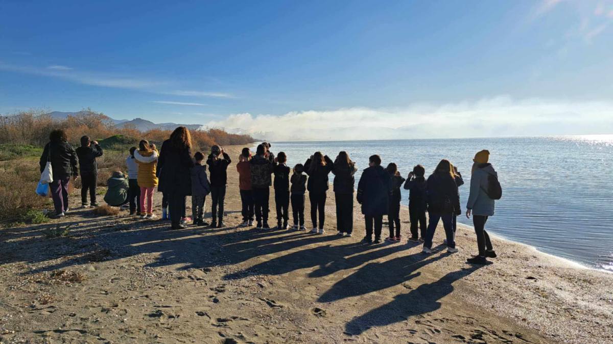 Δημοτικό Σχολείο Νέας Κίου: 2 συμμετοχές στην 25η Camera Zizanio