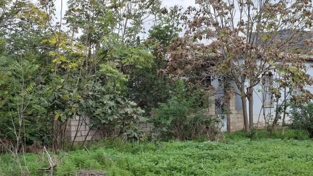 monokatoikia arg aggelia