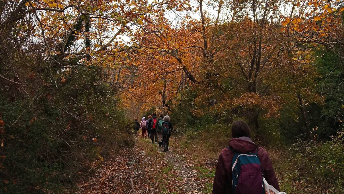 Η Βουνοπαρέα πάει Πάρνωνα
