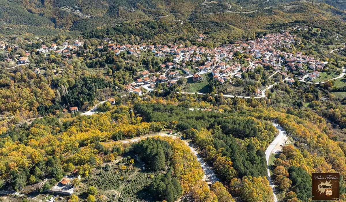 Το Ελληνικό χωριό των χριστουγεννιάτικων ελάτων (Βίντεο)