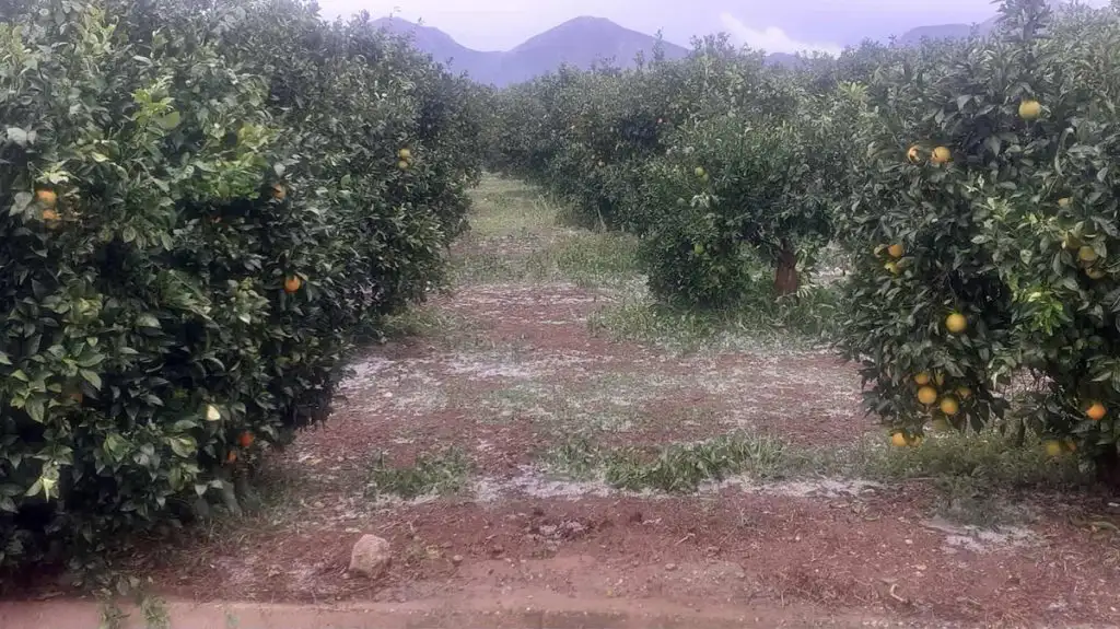 Χαλάζι στο Κουτσοπόδι