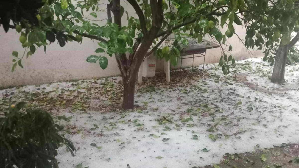 Ισχυρή χαλαζόπτωση στο Κουτσοπόδι – Σε απόγνωση οι αγρότες για τις καταστροφές στις καλλιέργειες