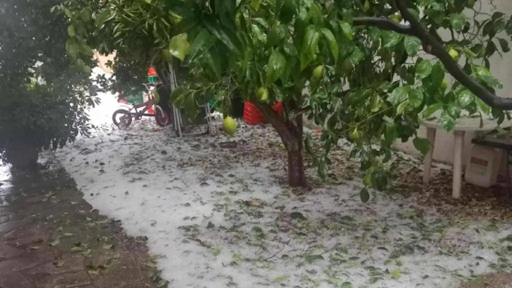 χαλάζι Κουτσοπόδι