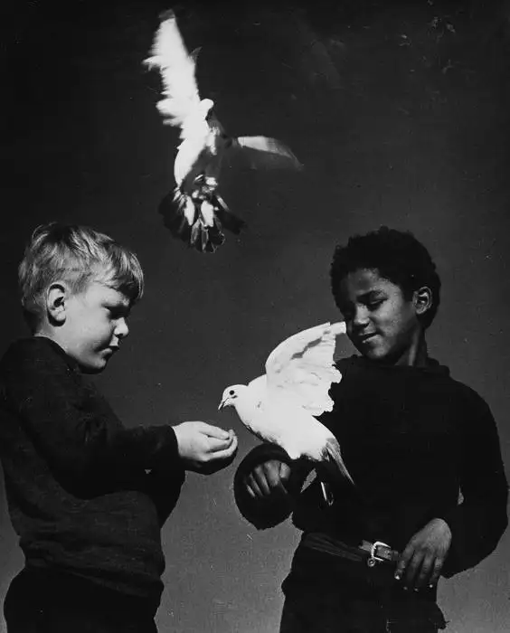 Οι Τέχνες στη Διαπολιτισμική Εκπαίδευση