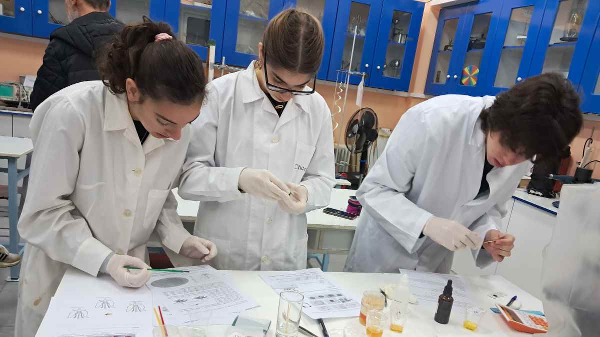 Διαγωνισμός Πειραμάτων για το μέλι στην Αργολίδα