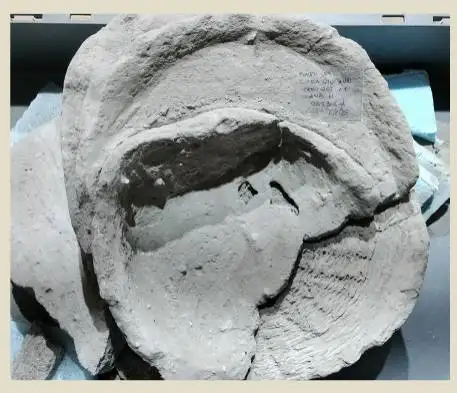 pompei. lavori di completamento dello scavo del quartiere di servizio della villa imperiali in localita civita giuliana 2