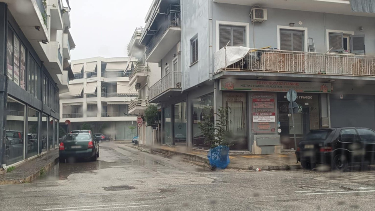 Η αγριοσυκιά του Ναυπλίου: Η πιο «ψαγμένη» γλάστρα της Αγίου Ανδριανού!