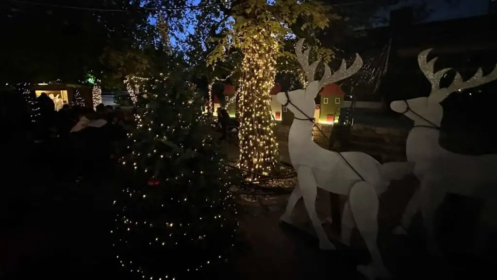 άναμμα δέντρου Κεφαλάρι